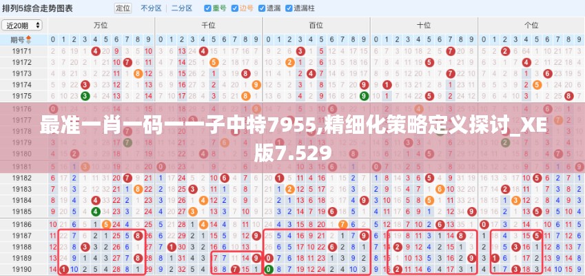 最準一肖一碼一一子中特7955,精細化策略定義探討_XE版7.529