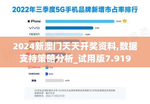 2024新澳門天天開獎資料,數據支持策略分析_試用版7.919