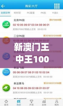 新澳門王中王100%期期中,實地驗證方案策略_ios1.769