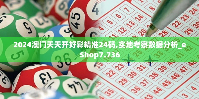 2024澳門天天開好彩精準24碼,實地考察數據分析_eShop7.736
