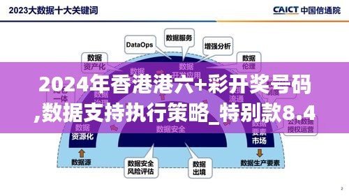 2024年香港港六+彩開獎號碼,數據支持執行策略_特別款8.462