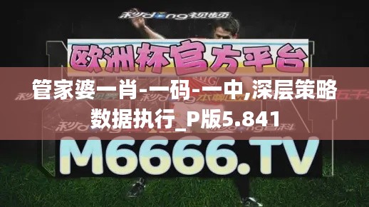 管家婆一肖-一碼-一中,深層策略數據執行_P版5.841