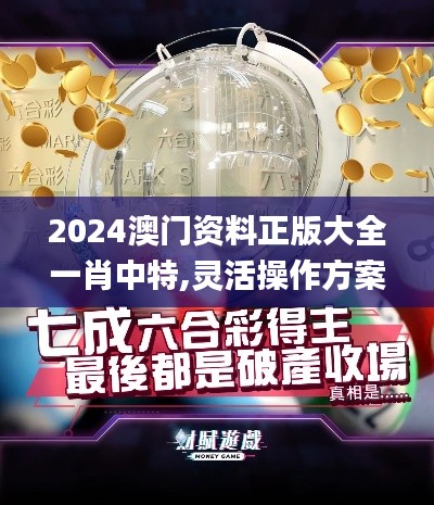 2024澳門資料正版大全一肖中特,靈活操作方案設計_set6.728