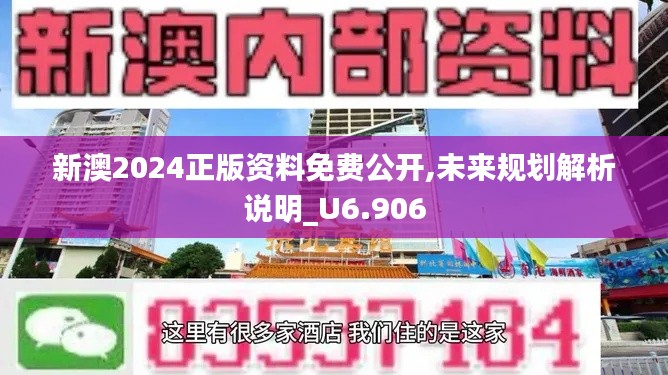 新澳2024正版資料免費公開,未來規劃解析說明_U6.906