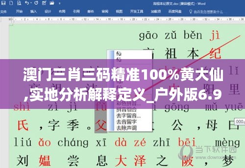 澳門三肖三碼精準(zhǔn)100%黃大仙,實(shí)地分析解釋定義_戶外版6.902