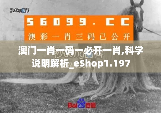 澳門一肖一碼一必開一肖,科學說明解析_eShop1.197