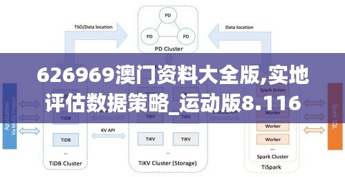 626969澳門資料大全版,實地評估數據策略_運動版8.116