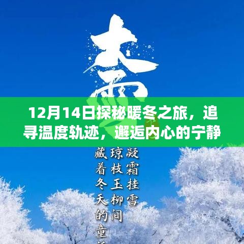 探秘暖冬之旅，追尋溫度軌跡，邂逅自然魔法與內心寧靜