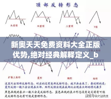 新奧天天免費(fèi)資料大全正版優(yōu)勢(shì),絕對(duì)經(jīng)典解釋定義_bundle8.310