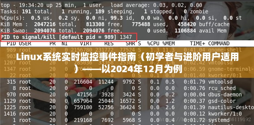 Linux系統事件實時監控指南，從初學者到進階用戶（以2024年12月為例）