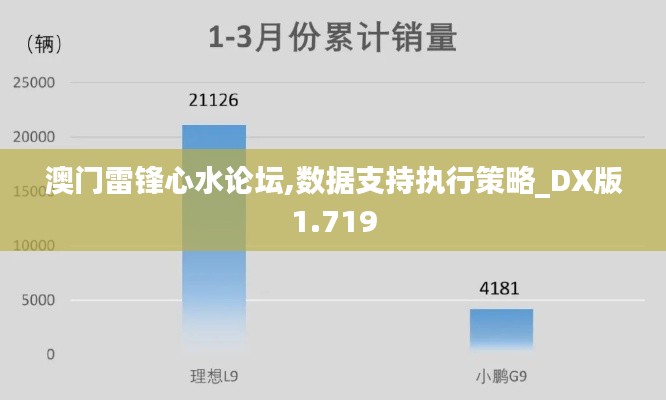 澳門雷鋒心水論壇,數據支持執行策略_DX版1.719