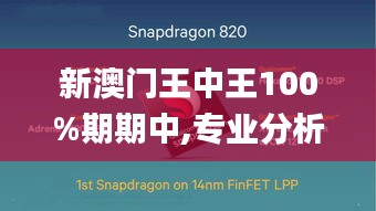 新澳門王中王100%期期中,專業分析解析說明_XP17.701