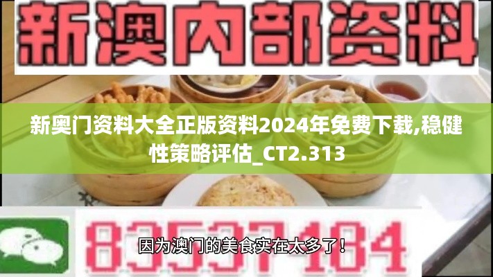 新奧門資料大全正版資料2024年免費下載,穩健性策略評估_CT2.313