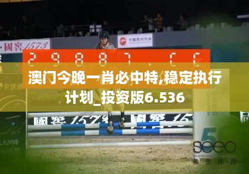 澳門今晚一肖必中特,穩定執行計劃_投資版6.536