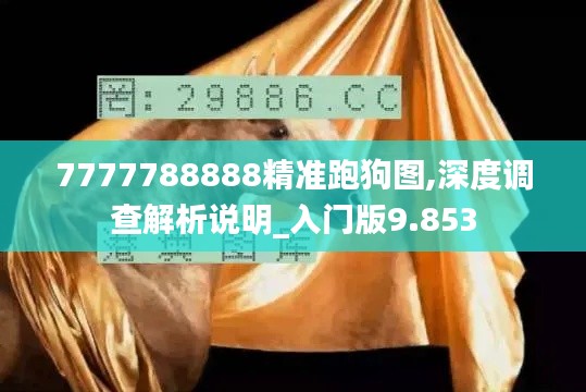 7777788888精準跑狗圖,深度調查解析說明_入門版9.853