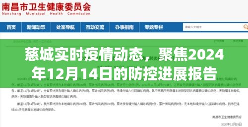 慈城最新疫情動態報告，聚焦防控進展與趨勢分析（2024年12月14日）