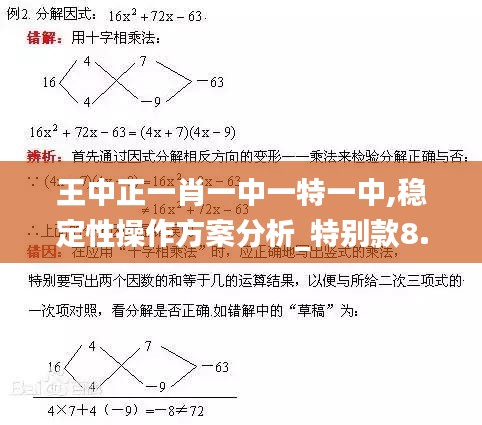 王中正一肖一中一特一中,穩(wěn)定性操作方案分析_特別款8.440