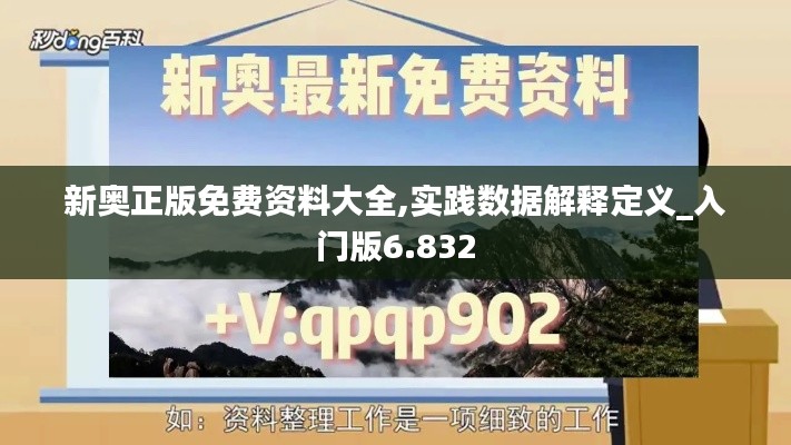 新奧正版免費資料大全,實踐數據解釋定義_入門版6.832