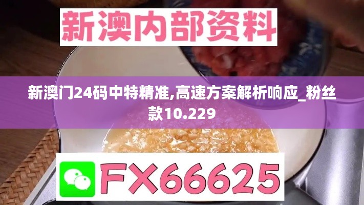 新澳門24碼中特精準,高速方案解析響應_粉絲款10.229