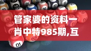 管家婆的資料一肖中特985期,互動性策略解析_The6.149