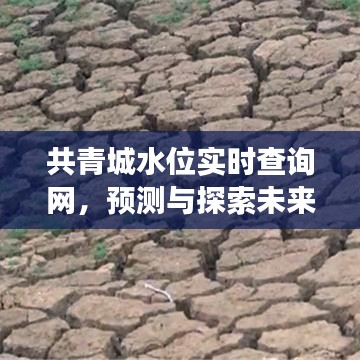 共青城水位實時查詢網，預測水位變遷，探索未來趨勢