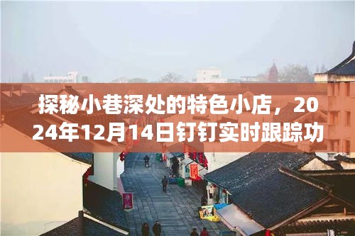 探秘小巷深處的特色小店與釘釘實時跟蹤功能的驚喜之旅紀實（附日期，2024年12月14日）