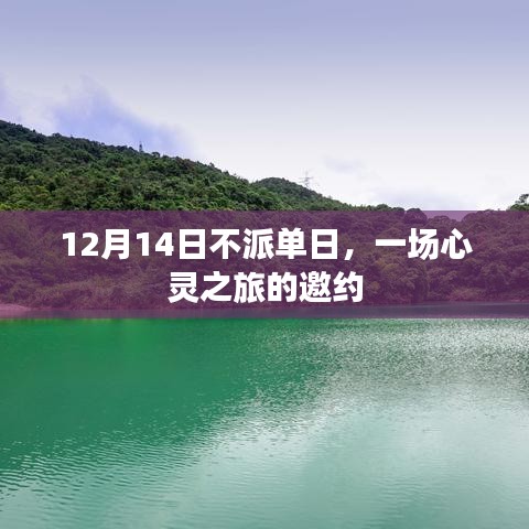 心靈之旅的特別邀約，不派單日（12月14日）