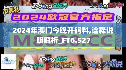 2024年澳門今晚開碼料,詮釋說明解析_FT6.527