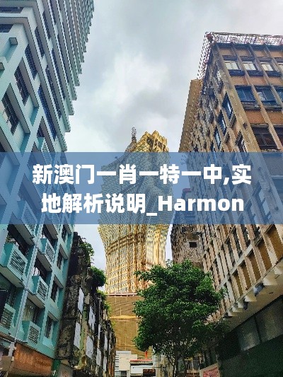 新澳門一肖一特一中,實地解析說明_Harmony款5.319