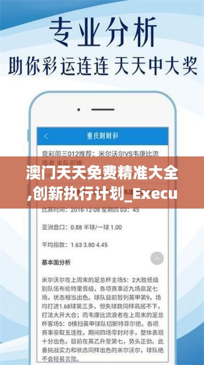澳門天天免費精準大全,創(chuàng)新執(zhí)行計劃_Executive19.258