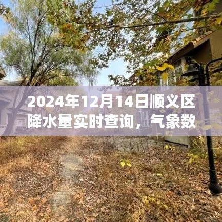 順義區天氣預報，實時降水量查詢與氣象數據分析（2024年12月14日）