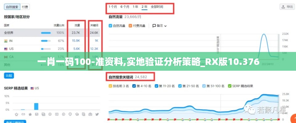 一肖一碼100-準資料,實地驗證分析策略_RX版10.376