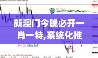 新澳門今晚必開一肖一特,系統化推進策略探討_4DM11.845