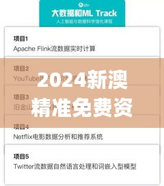 2024新澳精準(zhǔn)免費(fèi)資料,實(shí)地驗(yàn)證數(shù)據(jù)策略_Prime8.477