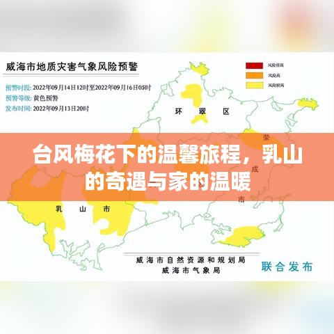 臺風梅花下的溫馨旅程，乳山奇遇與歸家暖意