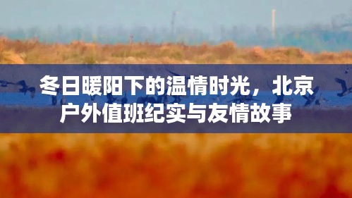 冬日暖陽下的溫情時光，北京戶外值班與友情故事紀實