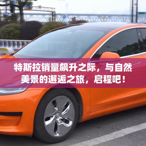 特斯拉銷量飆升之際的邂逅之旅，與自然美景的啟程！