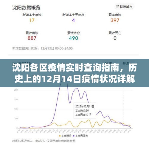沈陽各區疫情實時查詢指南及歷史疫情狀況詳解，聚焦十二月十四日數據
