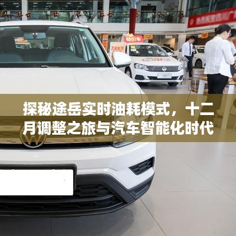 探秘途岳實時油耗模式，汽車智能化時代的啟示與十二月調整之旅