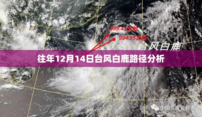 往年12月14日臺風白鹿路徑分析回顧