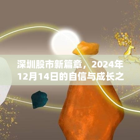 深圳股市新篇章，自信與成長之歌——2024年12月14日回顧與展望