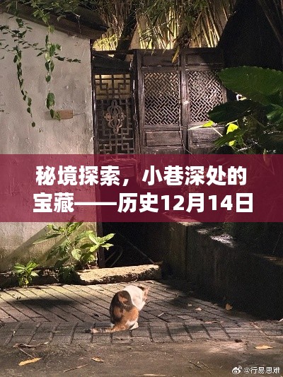 秘境探索揭秘，寶藏小巷的歷史寶藏與搜索引擎下的驚喜發現（實時更新）