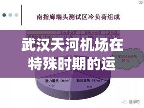 武漢天河機場特殊時期運營狀況觀察與反思