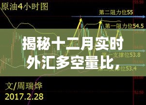 揭秘十二月外匯市場多空博弈，關鍵指標量比與市場走勢分析