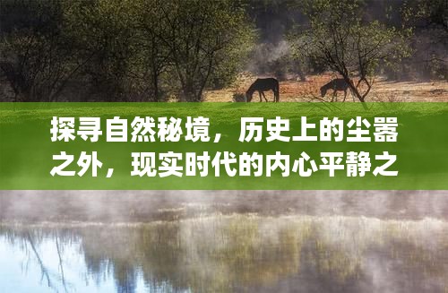 探尋自然秘境，心靈之旅，跨越歷史與現實的平靜之旅