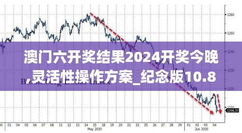 澳門六開獎結果2024開獎今晚,靈活性操作方案_紀念版10.810