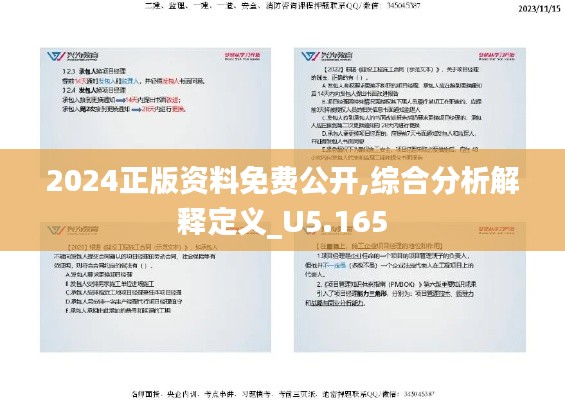 2024正版資料免費(fèi)公開,綜合分析解釋定義_U5.165