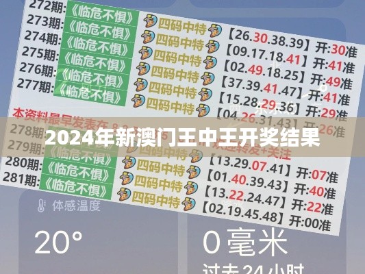 2024年新澳門王中王開獎結果