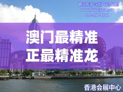 澳門最精準正最精準龍門