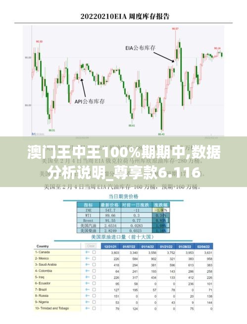 澳門王中王100%期期中,數據分析說明_尊享款6.116